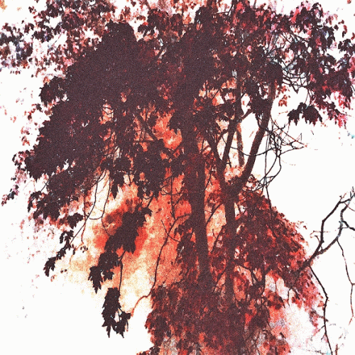 Sadness (USA) : Kiss in October (2017)